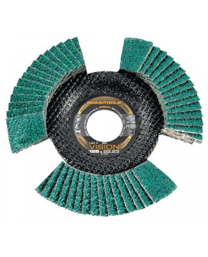 Fächerscheibe LSZ F VISION D.115mm K.40 schräg INOX ZK RHODIUS