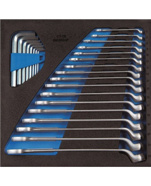 Werkzeugmodul 1500 CT2-1 B T315xB310mm 25-tlg.Ringmaul-/Stiftschlüsselsatz