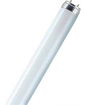 Leuchtstoffröhre18W cool white 1350LmL.59cmRohr-D.26mm 20000hEnergy A Lichtf.840