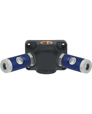 Verteilerdose Gew.mm 13 DN 7,4,Innengewinde,2 Sich.-Kupplungen RIEGLER
