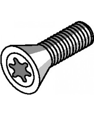 Spannschraube US4011