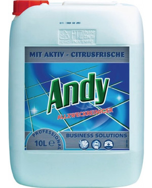 Allzweckreiniger Andy 10l Kanister DIVERSEY