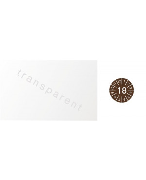 Einjahreskabelprüfplakette B25xL60mm Jahr 2018 m.Monaten Folie