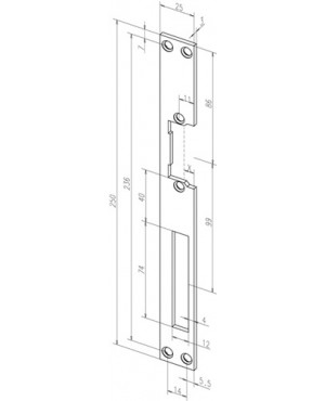 Flachschließbl. 021 STA verz. ktg. B.25xL.250mm DIN L/R ASSA ABLOY