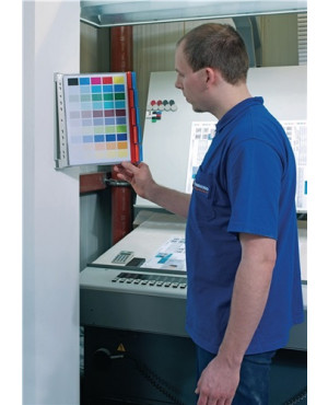 Wandhalter 10 Sichttafeln rot/blau DIN A4 a.Hartfolie DURABLE